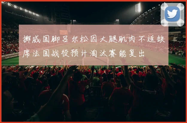 挪威国脚吕尔松因大腿肌肉不适缺席法国战役预计淘汰赛能复出